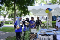 HMA 2024 - SPEED DATING WITH MUSEUM PRACTITIONERS