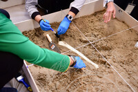 HMA2023 - CURATOR CRASH COURSE DI ARTS AND CRAFTS GALLERY, BCM