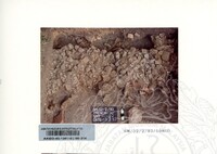 ARKEOLOGI SUNGAI MAS KEDAH 1993 FASA 2 W JILID 2