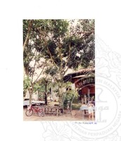 ARKEOLOGI SG. MAS, KEDAH SM: 32-4/ 93 VOL: 3 W