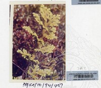 PAMERAN KEINDAHAN ALAM 1994 (2)