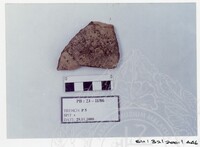 ARKEOLOGI SG. MAS, KEDAH SM : 32 / 2001 / 252 - 498 (JILID 2)