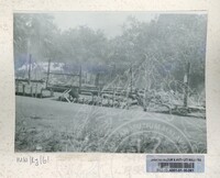 SEJARAH KOLEKSI JOHOR