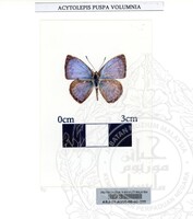 ALAM SEMULAJADI RAMA-RAMA JILID 1