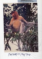 PAMERAN KEINDAHAN ALAM 1994 3