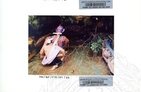 BAHAN PAMERAN TEROKAI HANTU