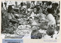 PEMUJAAN PANTAI  ( 148)