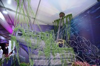 HMA 2025- 24.7.2025 - SEKITAR RERUAI PAMERAN, PANEL BY PANEL DAN CROWD