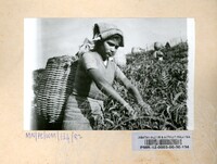 PAMERAN WANITA MALAYSIA 1982 VOL : 1