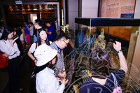 LAWATAN TIMBALAN KETUA PENGARAH BIRO PERTUKARAN DAN KERJASAMA ANTARABANGSA, KEM. KEBUDAYAAN DAN PELANCONGAN  CHINA