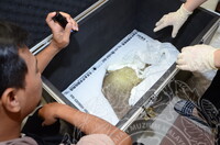 GAMBAR KOLEKSI DAN PENGENDALIAN PAMERAN GELARI 1