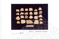 ARKEOLOGI SG. MAS, KEDAH SM. 32-4/93 VOL : 4 W