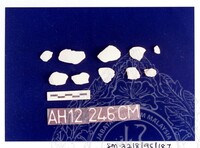 ARKEOLOGI SG. MAS, KEDAH SM: 32-8/ 95 (JILID 3) (WARNA)