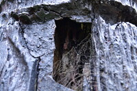 PENDOKUMENTASIAN KONDISI TIANG KELIERING BAGI TUJUAN KONSERVASI