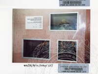 PAMERAN BALAI ILMU KEJADIAN 2002 BALAI C