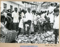 PERAYAAN THAIPUSAM JILID 1