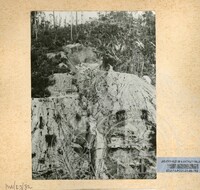 SEJARAH KOLEKSI JOHOR