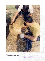 ARKEOLOGI SG. MAS, KEDAH SM: 32-5/ 93 VOL: 1 W