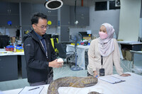 LAWATAN SAMBIL BELAJAR KE JMM OLEH PELAJAR PROGRAM SIJIL SENI KREATIF ASWARA (SSKA)