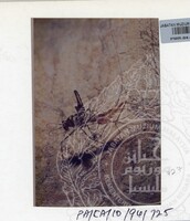 PAMERAN KEINDAHAN ALAM 1994 3