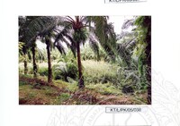 ARKEOLOGI TAMPAN, LENGGONG, PERAK JILID 4