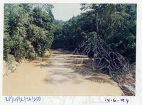 ARKEOLOGI GUA PERALING KELANTAN 1994 JILID 2