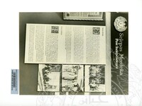 PAMERAN RAJA KITA 1985