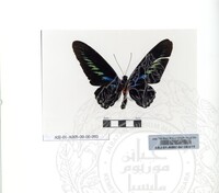 ALAM SEMULAJADI RAMA-RAMA JILID 1