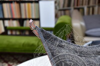 PENDOKUMENTASIAN KAJIAN UNTUK PAMERAN SENI BINA ASIA DI HERITAGE RESEARCH PULAU PINANG