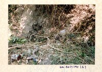 ARKEOLOGI SG. MAS, KEDAH SM: 32-7/ 95 (JILID 2) (WARNA)