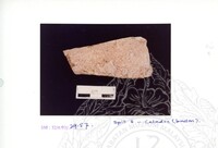 ARKEOLOGI SG. MAS, KEDAH SM : 32-4 / 93 VOL : 1 W