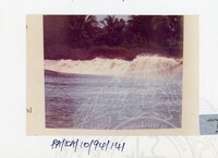 PAMERAN KEINDAHAN ALAM 1994