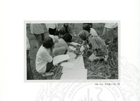 ARKEOLOGI SG. MAS, KEDAH SM : 32-3 / 93 VOL : 9 HP