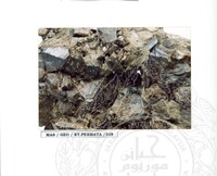 ALAM SEMULAJADI BATU PERMATA JILID 2