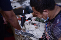 BENGKEL TAKSIDERMI IKAN