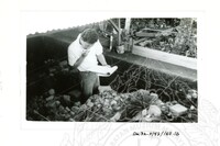 ARKEOLOGI SG. MAS, KEDAH SM: 32-5/ 93 VOL: 5 W