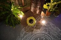 HMA 2024 - CONTENT PAMERAN