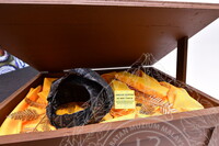 PANEL BY PANEL PAMERAN EVOLUSI MATAWANG