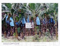 ARKEOLOGI EKSPLORASI L. BERNAM 2001 JILID 1