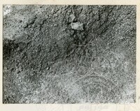 ARKEOLOGI KG. PANCU MUAR JOHOR 1978