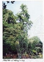 ARKEOLOGI KOTA KAYANG PERLIS 2002 JILID 5