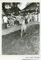 PERAYAAN THAIPUSAM JILID 2