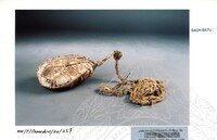 BAHAN PAMERAN MERENTASI SAMUDERA (JILID 1)