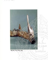 BAHAN PAMERAN ORANG ASLI JILID 3