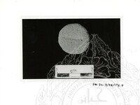 ARKEOLOGI SG. MAS, KEDAH SM, 32-3 / 93 VOL : 9 HP TRENCH & ARTIFAK TERPILIH