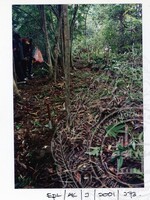 ARKEOLOGI EKSPLORASI JOHOR 2001 JILID 1
