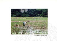 ARKEOLOGI KOTA KAYANG PERLIS 2002 JILID 3
