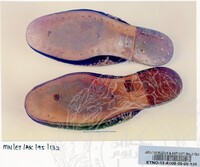 KOLEKSI ALAS KAKI (JILID 1)