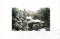 ARKEOLOGI SG. MAS, KEDAH SM, 32-4,93 VOL,3 HP FASA 4 LOKASI, POKOK, LAWATAN, CERAMAH, AKTIVITI - HITAM/ PUTIH. HASSAN