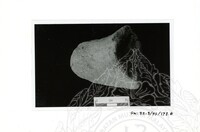 ARKEOLOGI SG. MAS, KEDAH SM, 32-3 / 93 VOL : 9 HP TRENCH & ARTIFAK TERPILIH